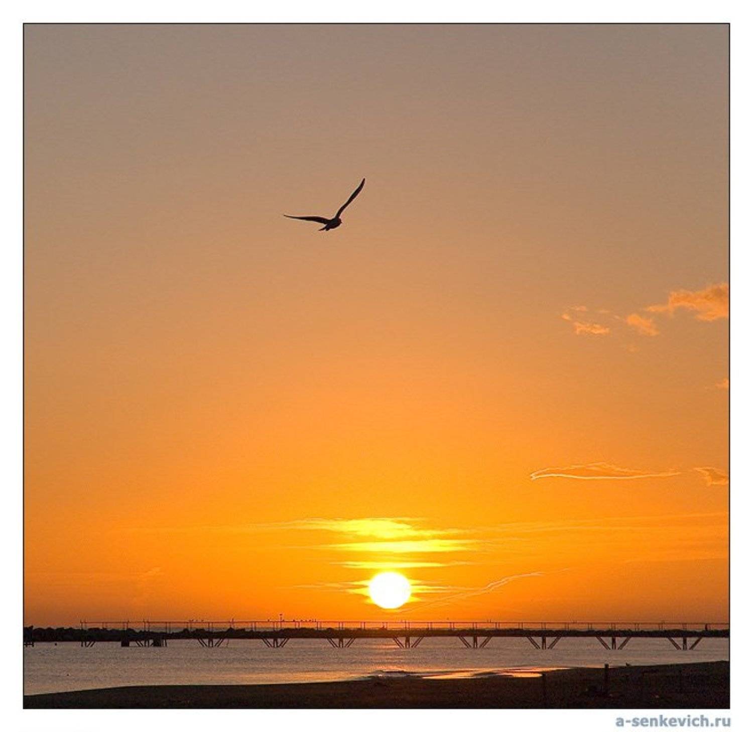 ^. Автор: Андрей Сенкевич Декабрь, Римини, восход, Андрей Сенкевич