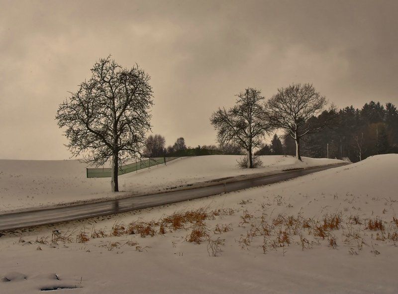 зимняя дорогаphoto preview