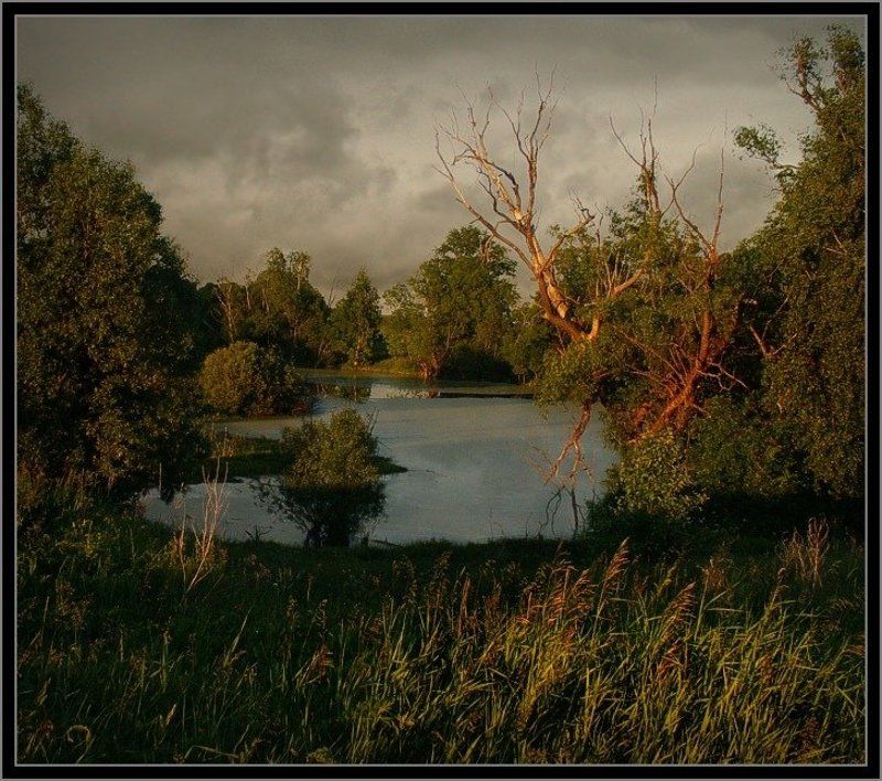 болотоphoto preview