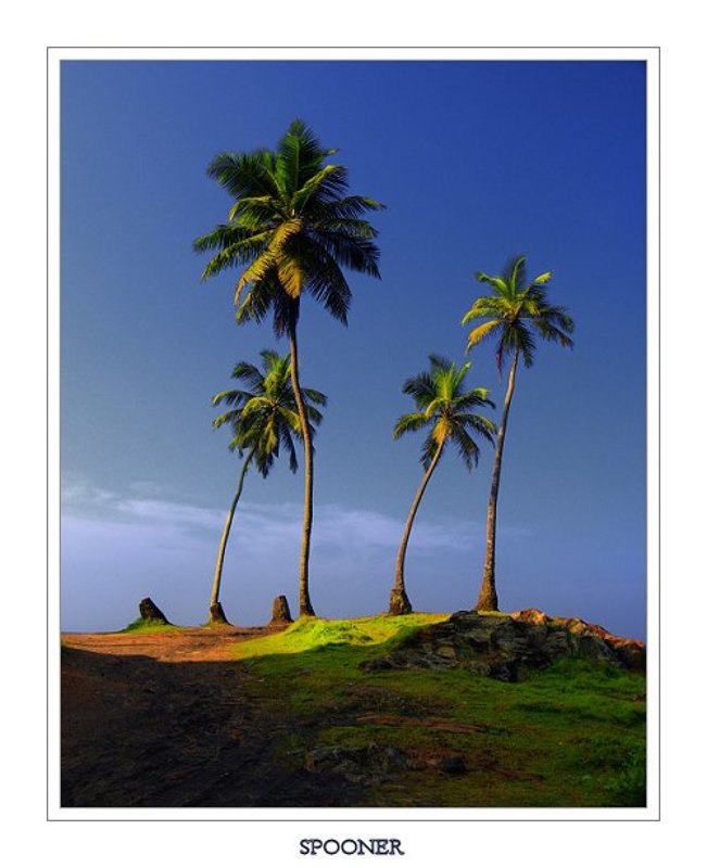 Танецphoto preview