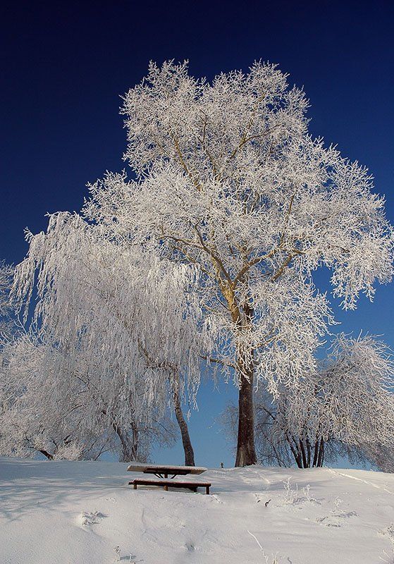 Сказкаphoto preview