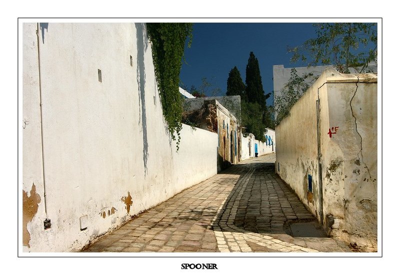 Сиди-Бу-Саидphoto preview