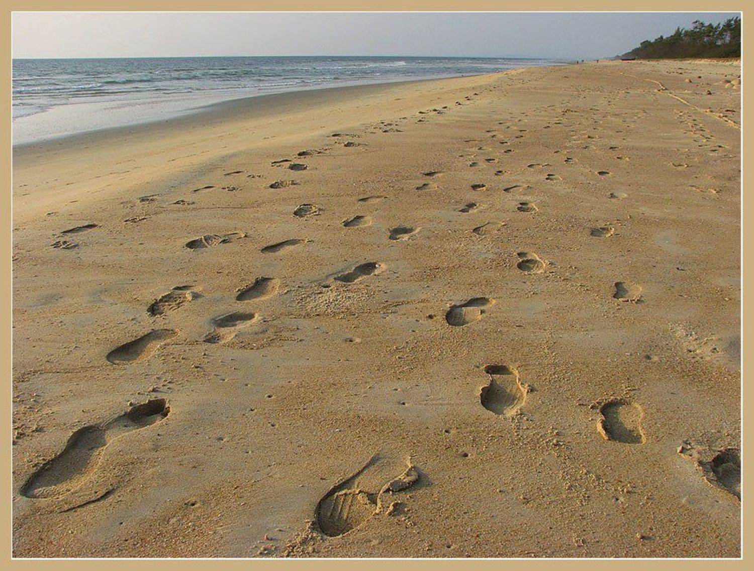 Вечерело.... Автор: Лунный Ежик , Лунный Ежик