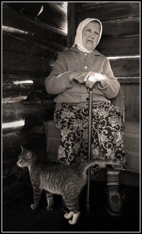 бабушка и котphoto preview