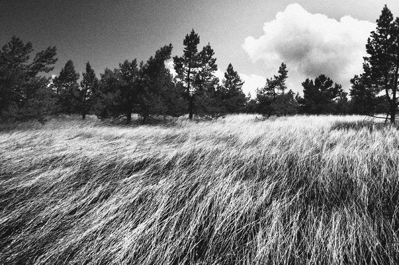 Крым, podakuni Крым | Ветерphoto preview