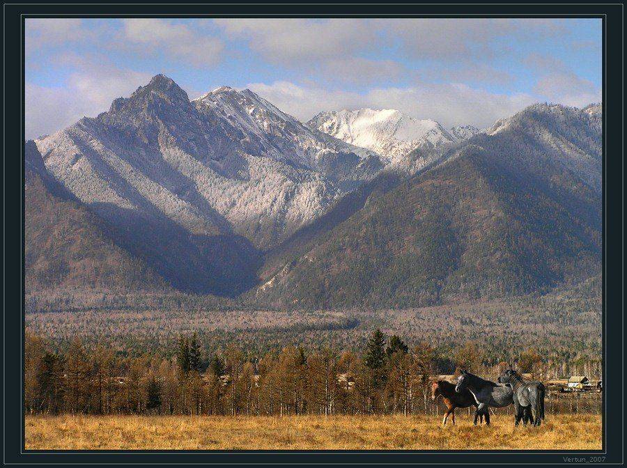 Саянские снега. Автор: Игорь Глушко саяны,бурятия, Игорь Глушко