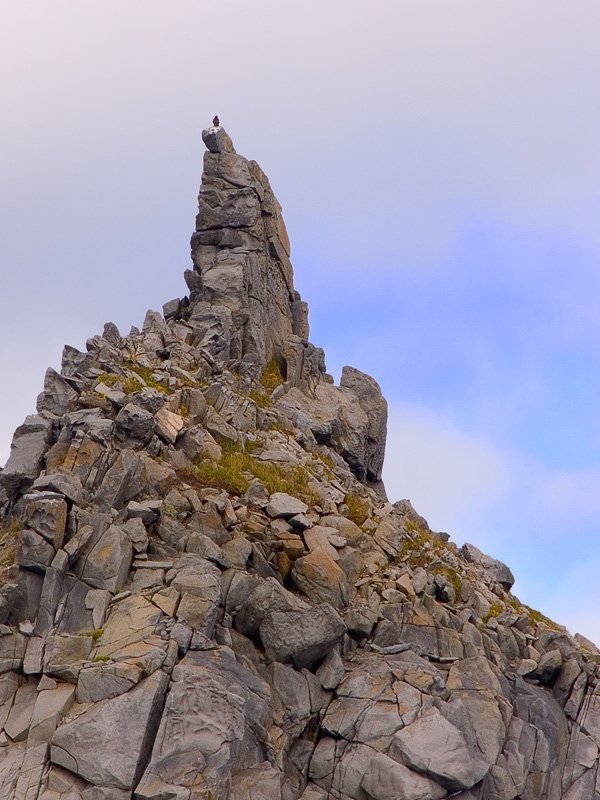 башня, орланы, Магадан Сторожевая башня белоплечих орланов фото превью