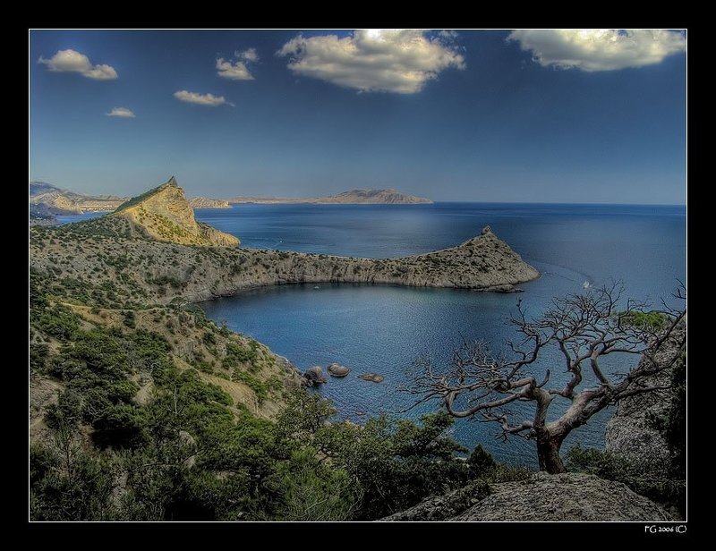 Новый Светphoto preview