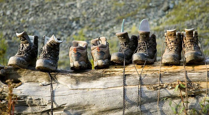 Алтай, привал, Кедровые стоянки Привалphoto preview