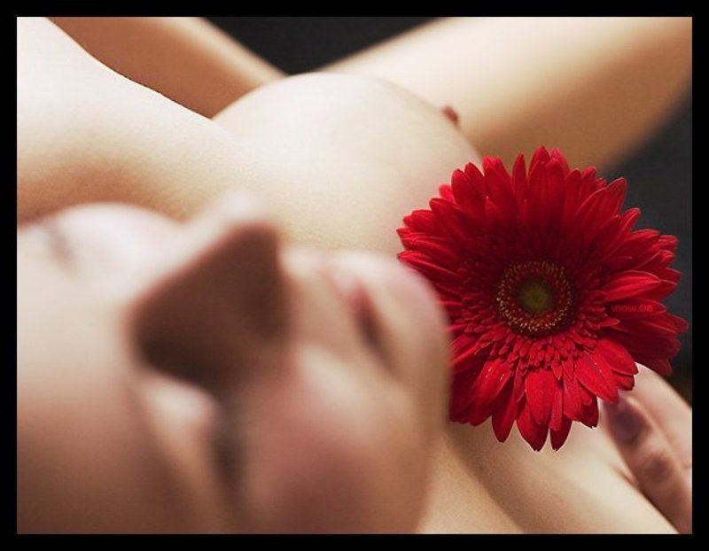 .nunatalyphoto preview