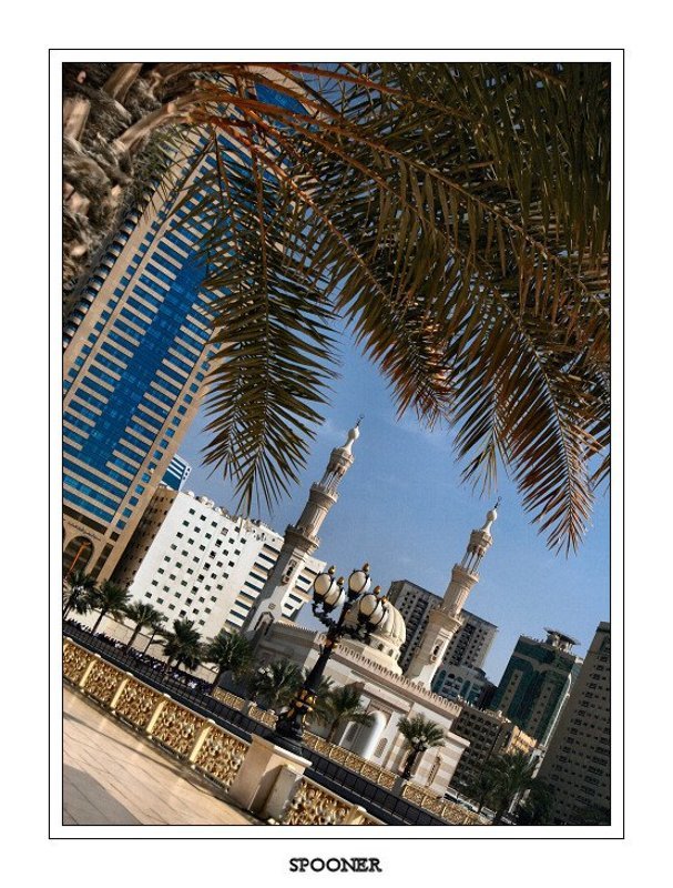 Город контрастовphoto preview