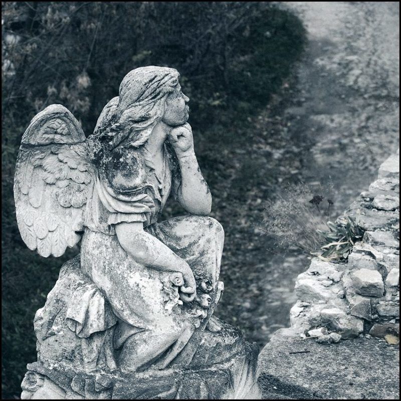 Каменец-Подольск ***photo preview