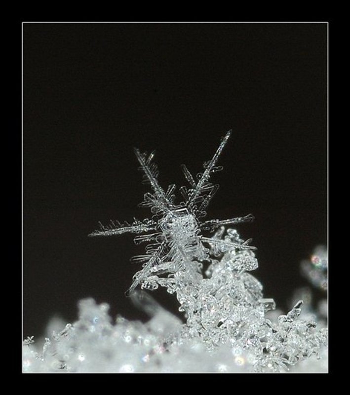 снежинка photo preview