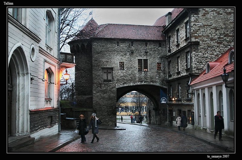 таллин Толстая Маргаритаphoto preview