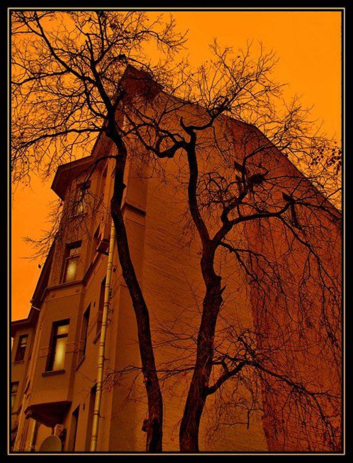 фантазия дом, Екатерина (PhotoJourneys.ru) Васягина