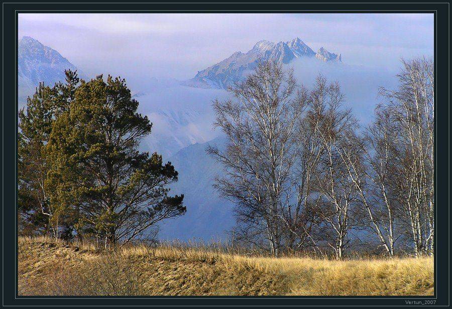 Саянские мотивы. Автор: Игорь Глушко саяны,бурятия,лес,зима,горы, Игорь Глушко