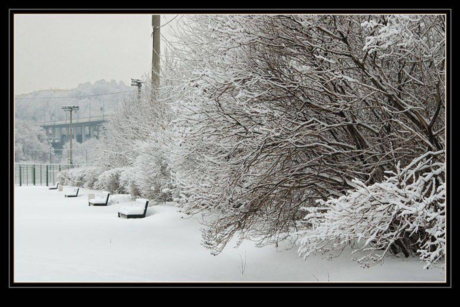 снег, зима, воробъевы горы, Капустин Николай