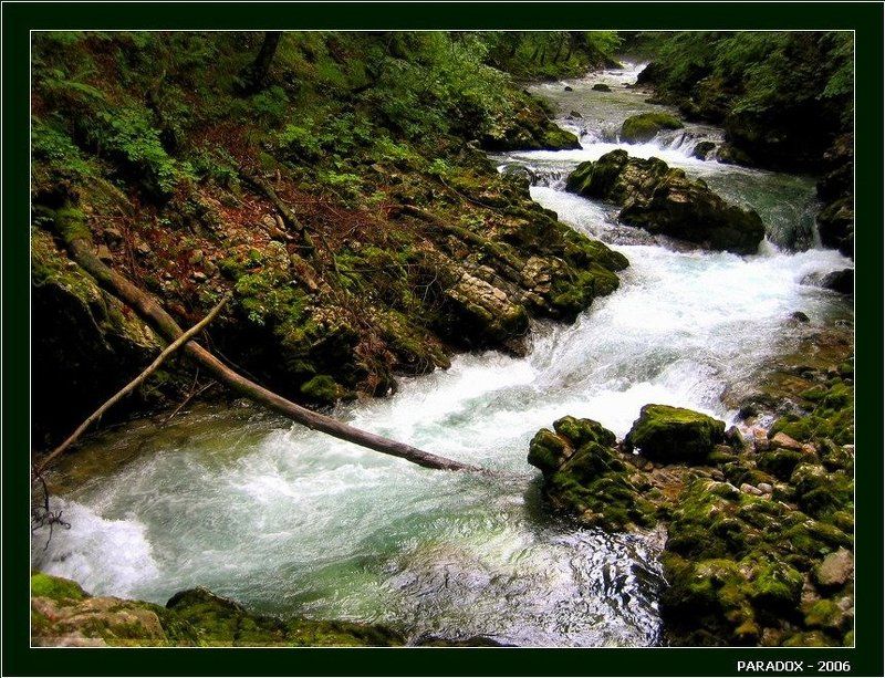 Словения, Винтгар,ущелье,водопад, лес,ветки,крест,PARADOX Хроника старинного ущелья, или осененное крестомphoto preview