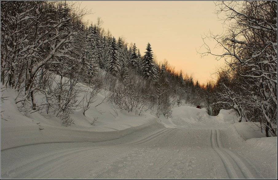 Дорога к закату. Автор: skurk снег,лес,лыжня,закат, skurk