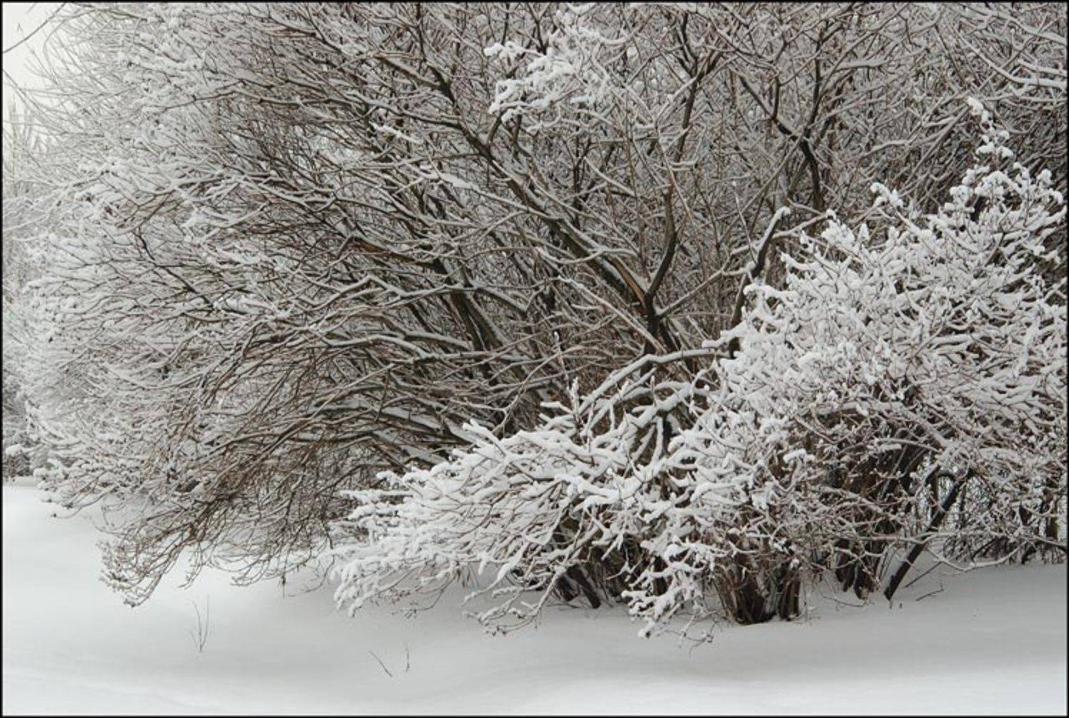 снег, зима, воробъевы горы, Капустин Николай