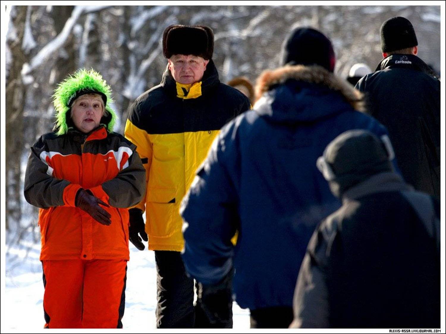 Яркие, зима, Кусково, Alexis Assa