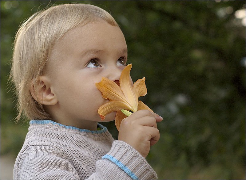 девочка, Аня, цветок ***photo preview