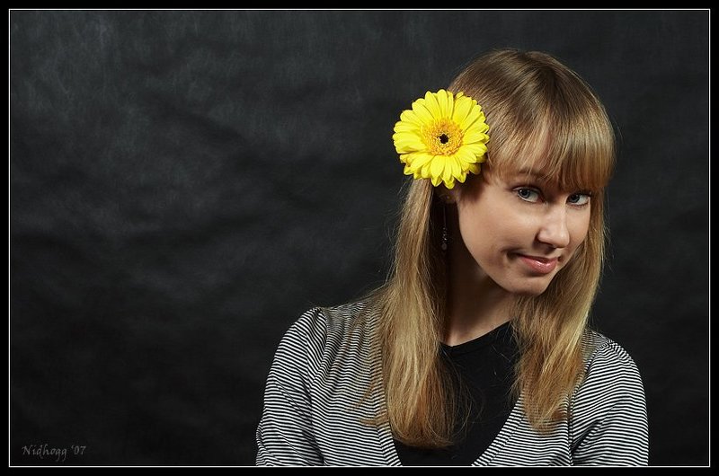 Гербера...photo preview