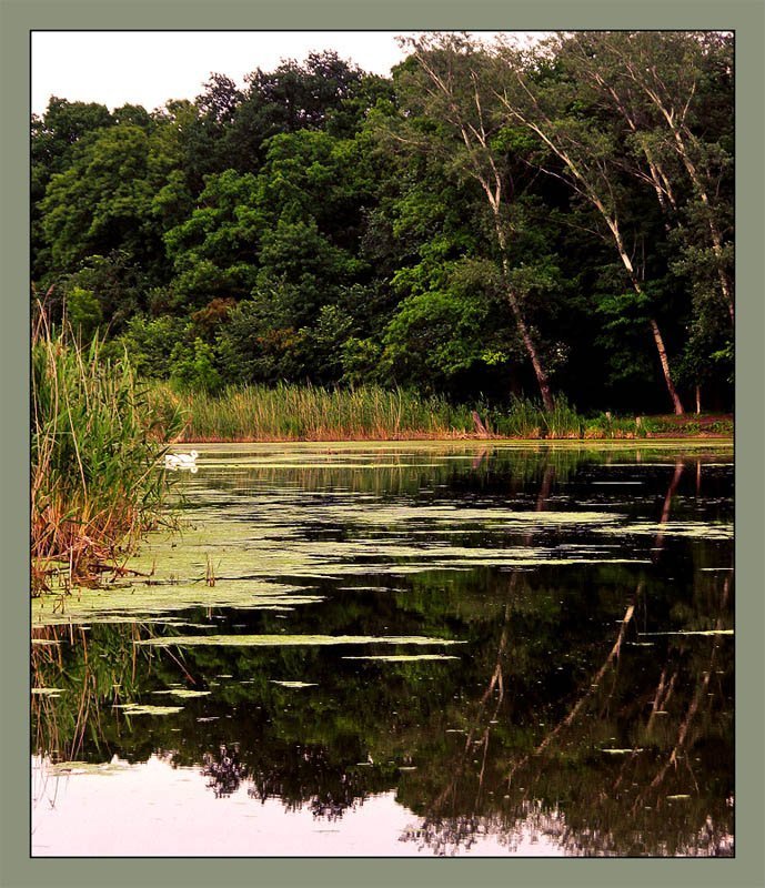 Умиротворениеphoto preview