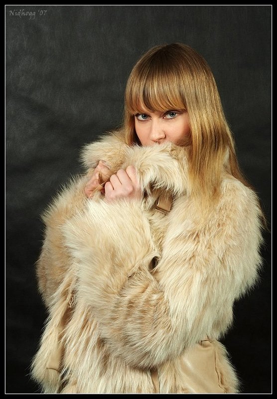 Степная лиса...photo preview