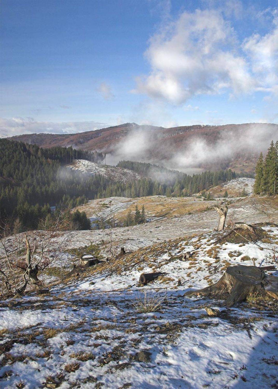 Автор: SlavaKuznetsov карпаты, горы, SlavaKuznetsov