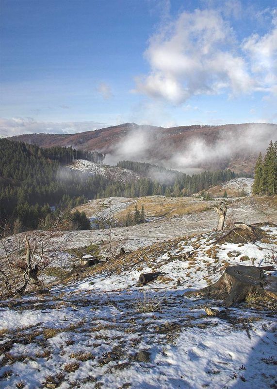 карпаты, горы  фото превью