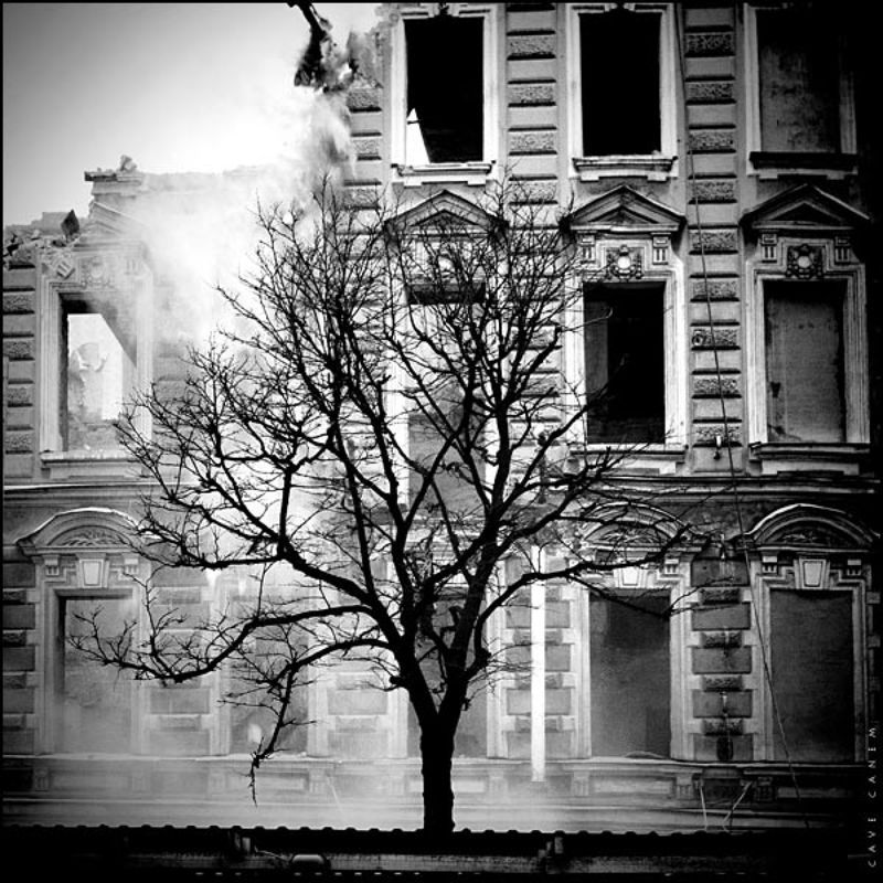 Проходящее и вечноеphoto preview