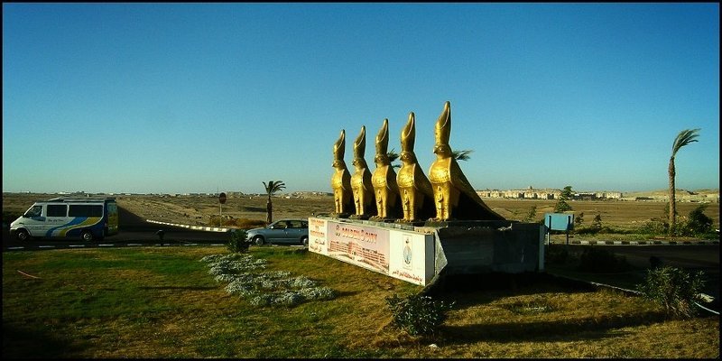 машинки, птички, пальмы GOLDEN 5 CITY фото превью