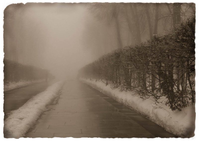 туман ---photo preview