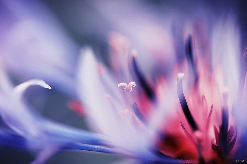 В огне...photo preview