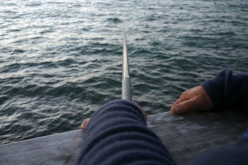 IgalSc, рыбалка, настроение О рыбной ловле... фото превью