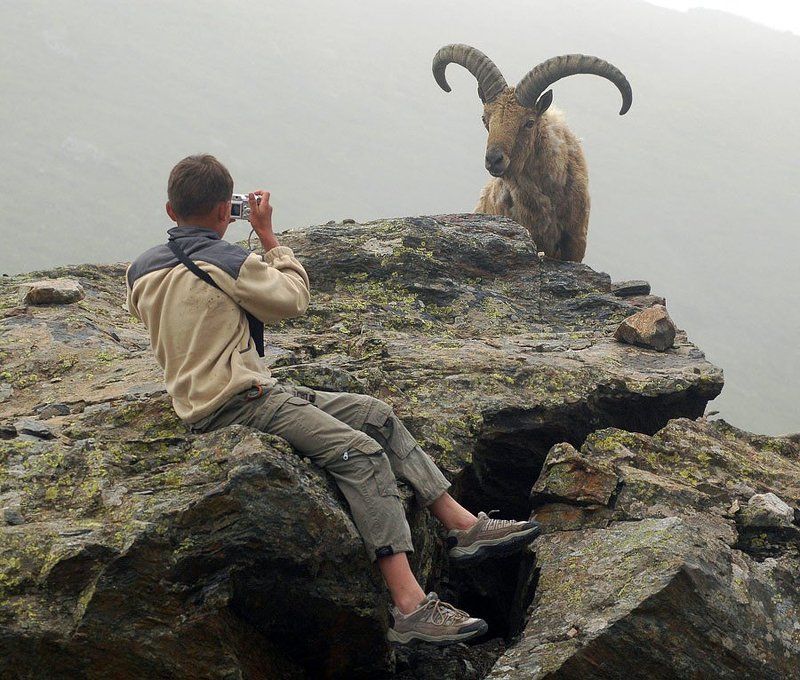 Фотограф и модель 2photo preview