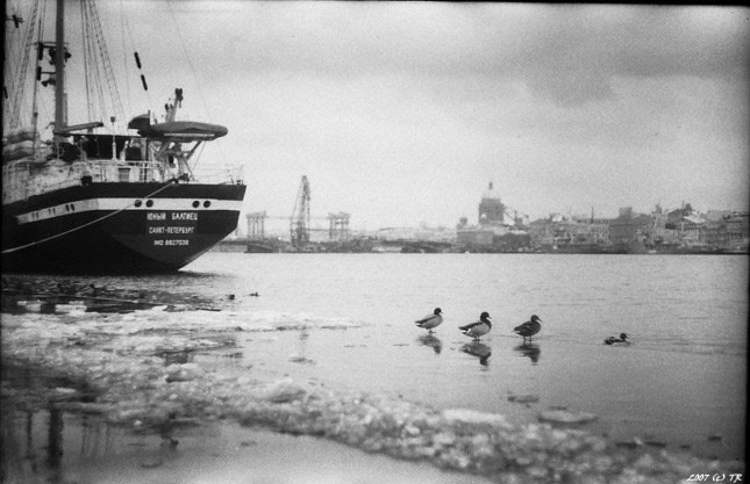 первый пошел!. Автор: Трев , Трев