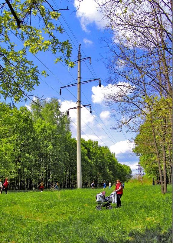 Лес, ЛЭП, мать, коляска, Владимир Под солнцем Чубайсаphoto preview