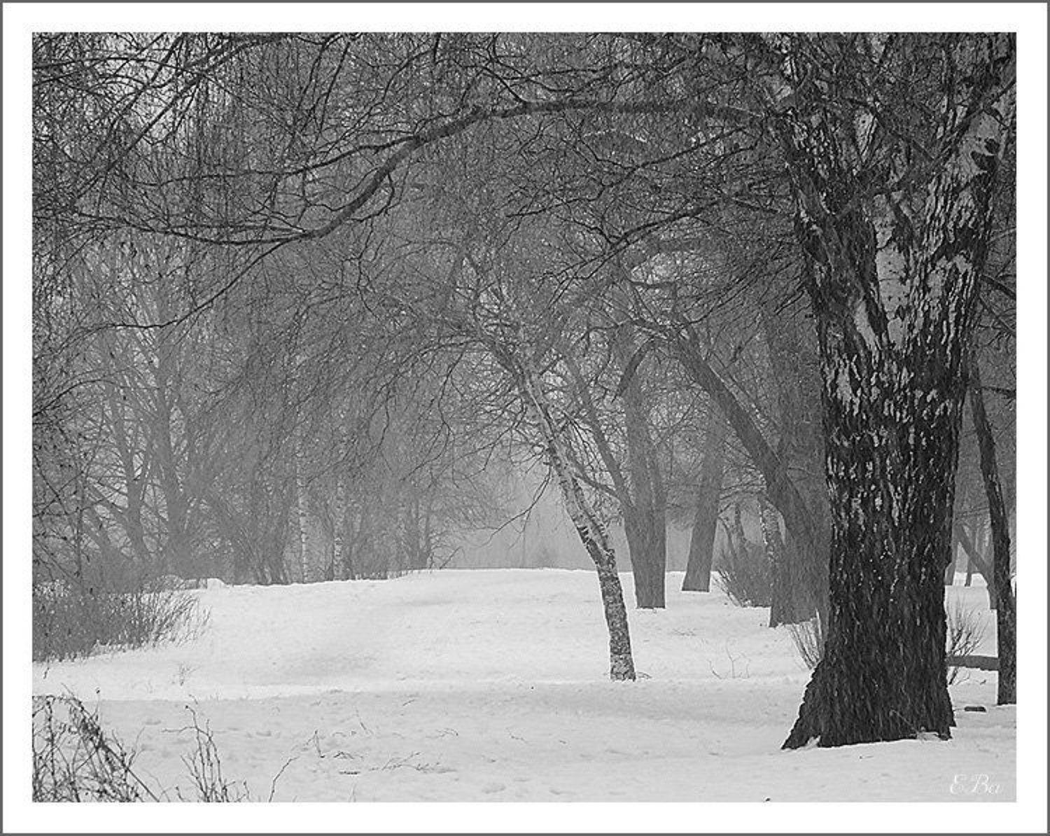 А снег идет.... Автор: Екатерина (PhotoJourneys.ru) Васягина зима пруд, Екатерина (PhotoJourneys.ru) Васягина