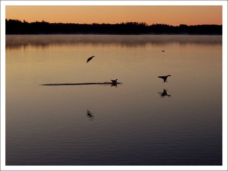 Белое озеро Утро на озереphoto preview