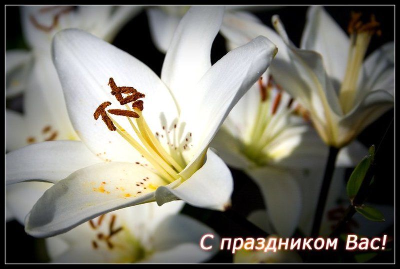 восьмое, панимашь, марта джаст посткард :)photo preview