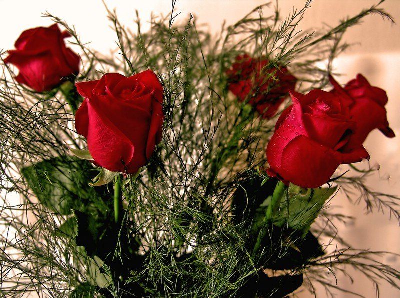 С праздником!(всем женщинам на 35photo)photo preview