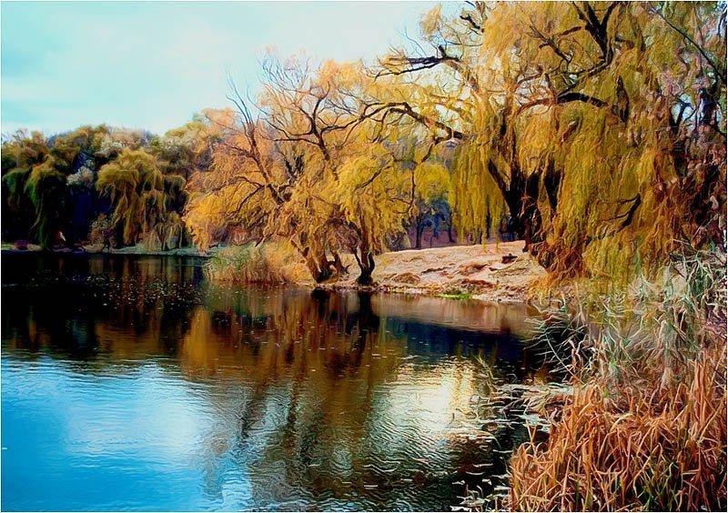 Осенняя медитацияphoto preview