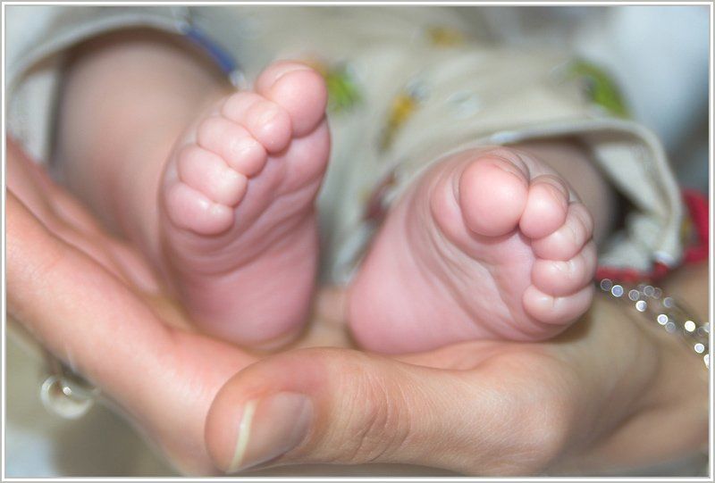 Сокровищеphoto preview