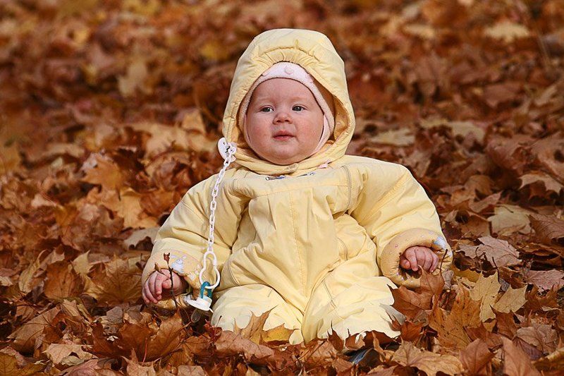 ребёнок, младшая Шпак, листья, осень а нам листья по коленоphoto preview