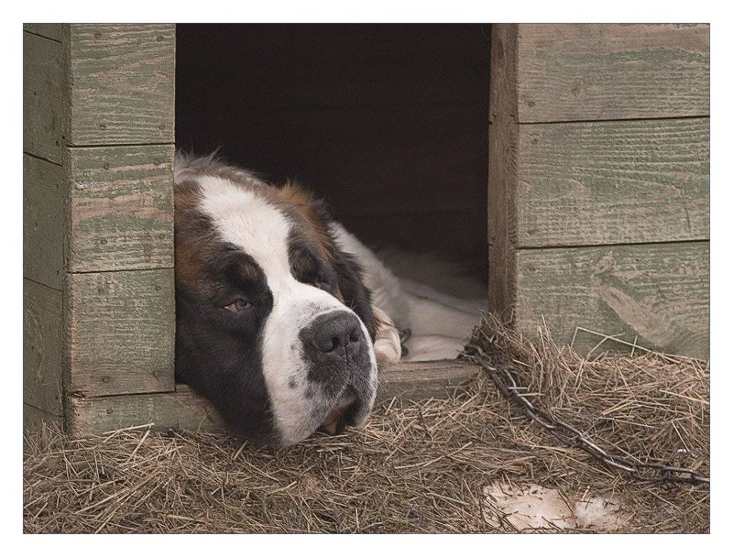 , Павел М. Цветков