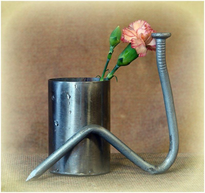 гвозди, фотогвозди, метизы Гвоздь и Гвоздичка...photo preview