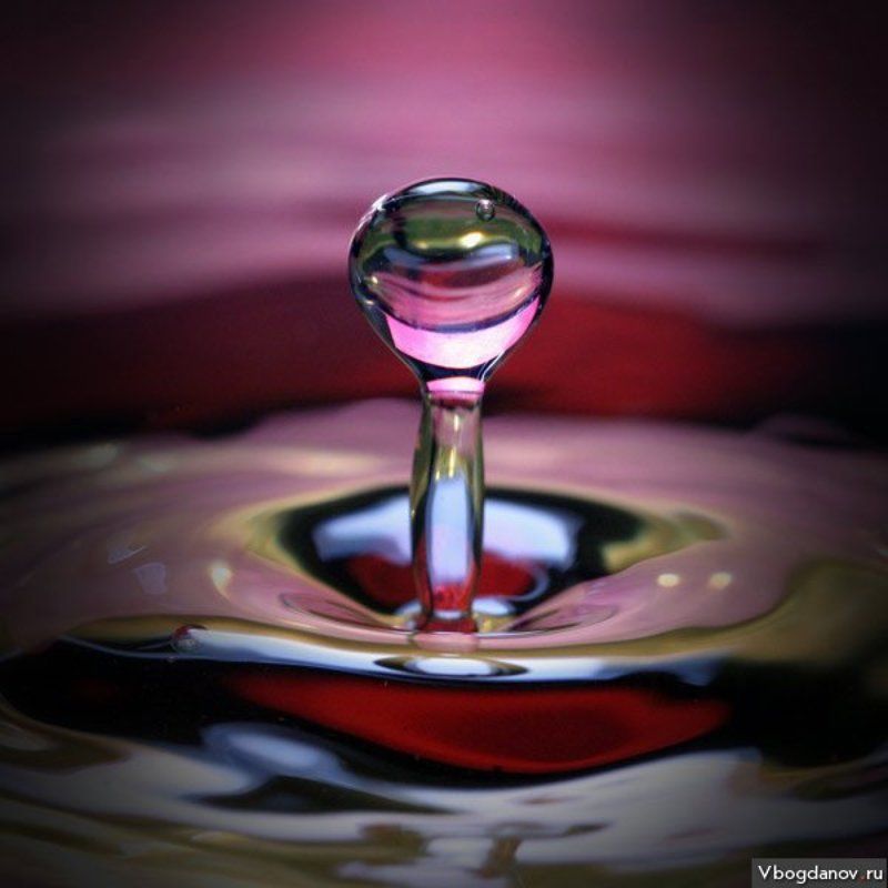 Чупа-Чупс Всем привет я ЧУПА-ЧУПС :)))photo preview