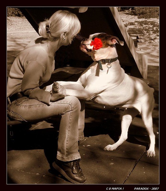 8 марта,Весна,Верность,Любовь,PARADOX О верности и любви -2photo preview